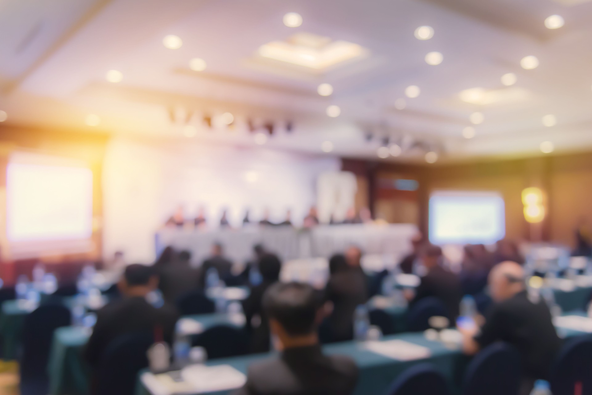 Defocused Image Of Business People At Seminar