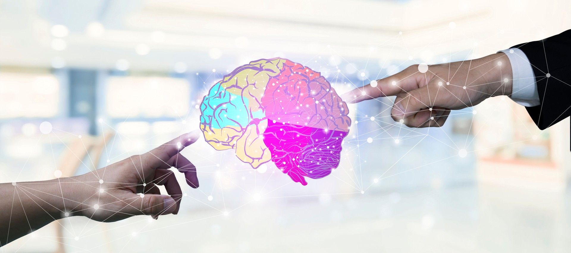 Neurosurgeon, Neurologist examine brain.